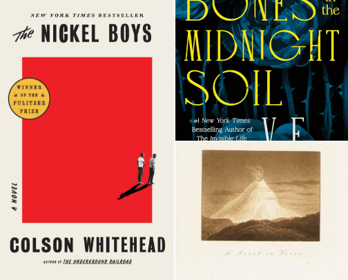 Books on my 2025 TBR cover photo collage