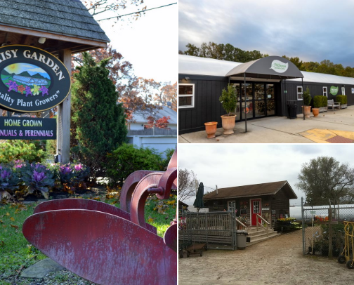 Nursery’s and garden centers cover photo collage