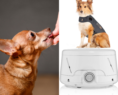 🐾 Comfort Items for Anxious Pets That Actually Help cover photo collage