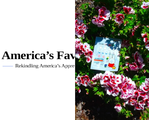 America's Favorite Photos cover photo collage