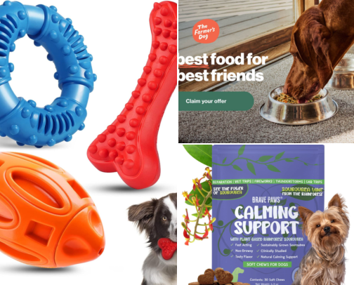 What every Labrador needs cover photo collage