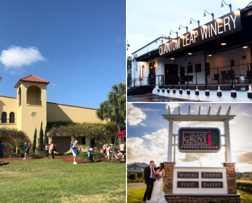 Best Wineries & Tasting Rooms Near Orlando: A Local's Guide to Central Florida Wine Country cover photo collage