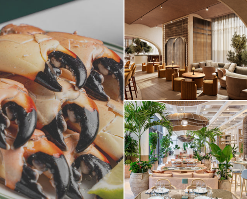 RESTAURANT RECOMMENDATIONS cover photo collage