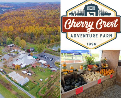 Fall things to do around Chester, Lancaster and Berks Counties cover photo collage