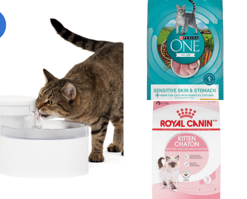 New Cat Parent Must-Haves: Essentials for a Happy, Healthy Kitty cover photo collage