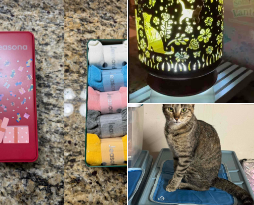 Items for all you cat lovers, cat moms, cat dads, and cataholics! cover photo collage
