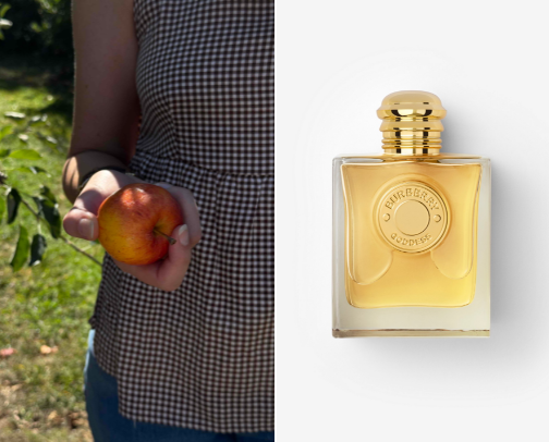 smells like autumn 🧸🤎🍂 cover photo collage