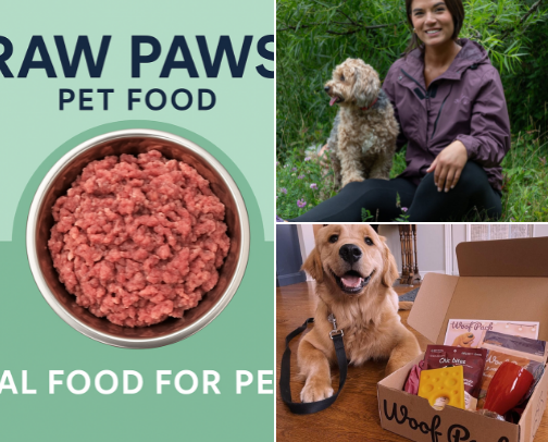 For the Fur Babies – Essentials, Treats & Tail-Waggin’ Joy cover photo collage