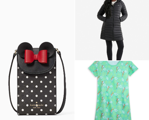 Disneyland Paris in wintry weather cover photo collage