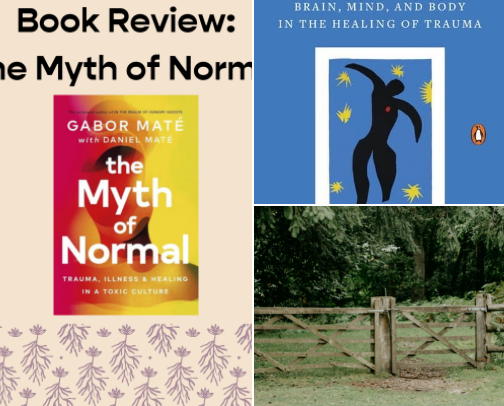 The Myth of Normal: Trauma, Illness, and Healing in a Toxic Culture cover photo collage
