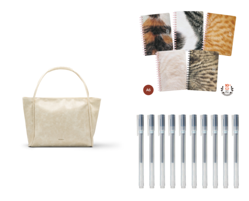 School-to-Work Essentials cover photo collage