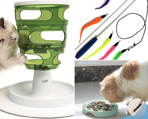 5 things your cat secretly wants you to buy cover photo collage