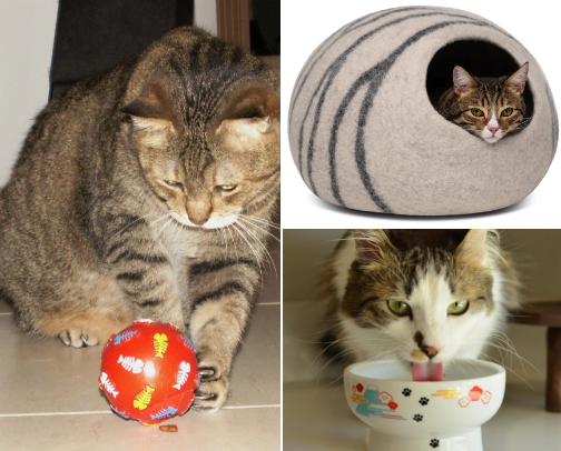 10 things your cat secretly wants you to buy cover photo collage