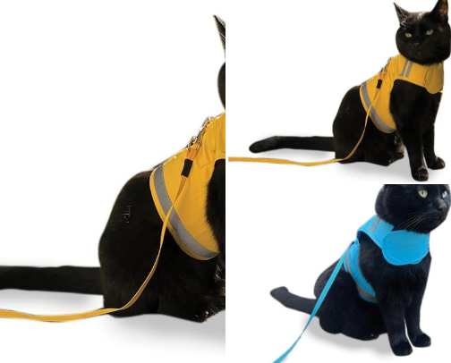 Cat Leashes Collars Harnesses cover photo collage