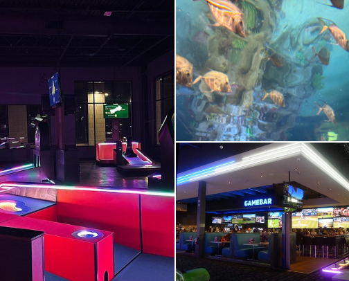 So many fun activities in Iowa - here are some of my favorite - WE are so much more than corn feilds !! cover photo collage