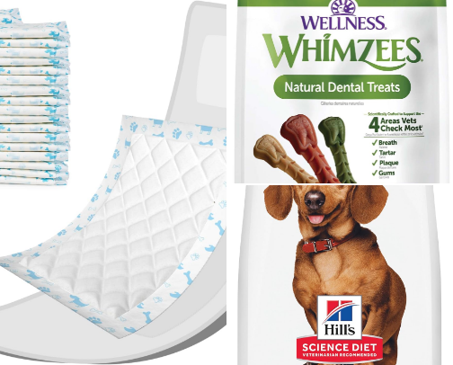For Your Mini Dachshund cover photo collage