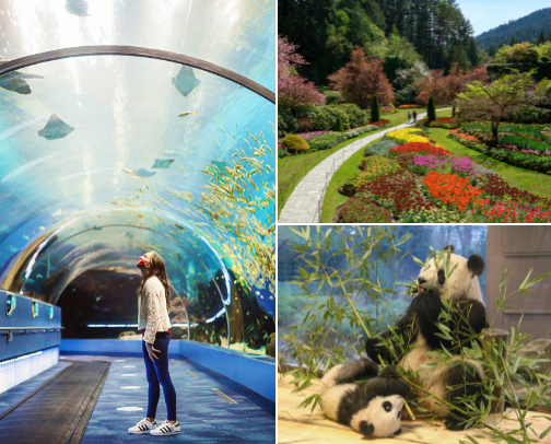 Awesome Places to Learn About Nature cover photo collage