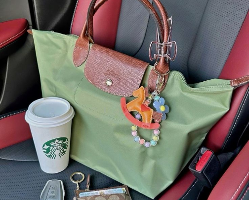 Chic Carryalls cover photo collage
