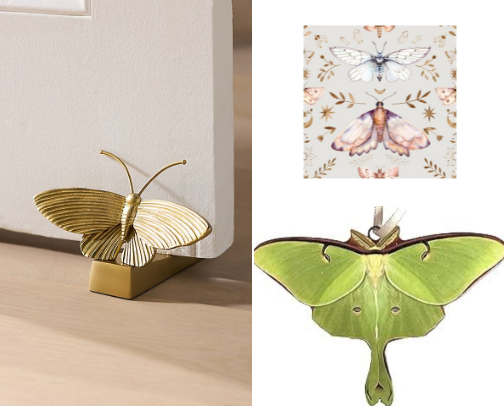 Whimsical Moth Decor for Cozy, Moody Spaces cover photo collage