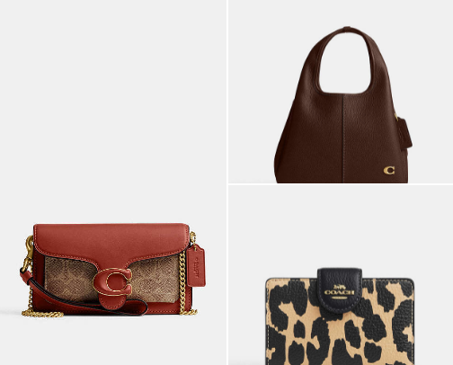 COACH Staples for Everyday Elegance cover photo collage