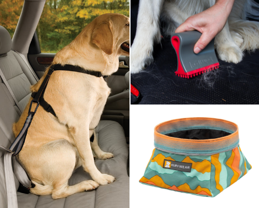 Dog Essentials I Wish I Had Bought Sooner 🐾 cover photo collage