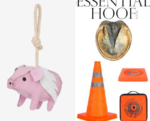 Horsing Around cover photo collage