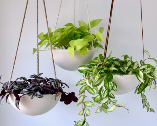 Planters I’d Put Everywhere cover photo collage