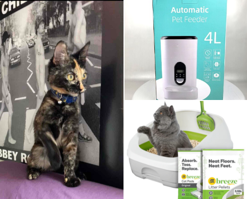 Ultimate Low-Maintenance Cat Care Guide for Folks On The Go cover photo collage