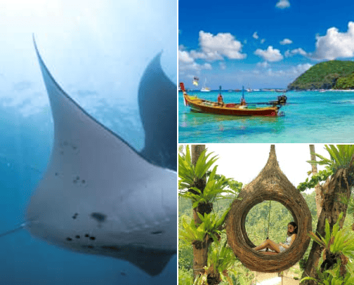 Tours for vacation cover photo collage