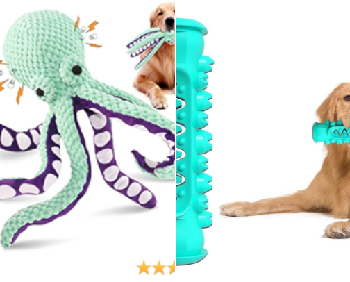 Dog toys cover photo collage