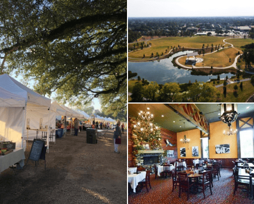 Visiting Cajun Country! cover photo collage