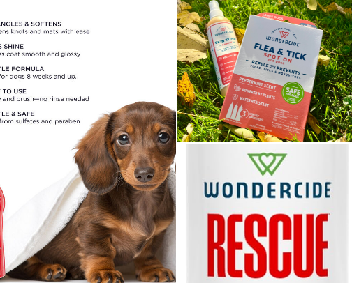 Dog finds cover photo collage