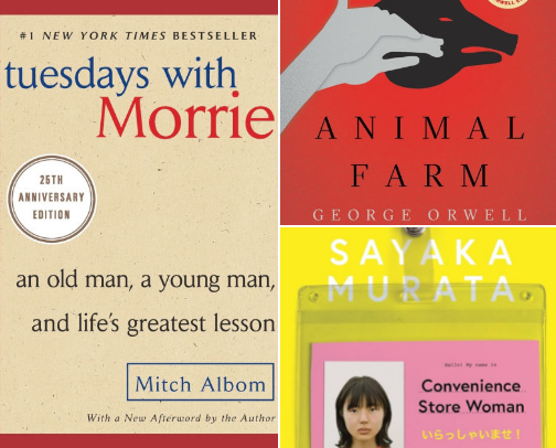 Short & Easy Reads You Can Finish Quickly cover photo collage