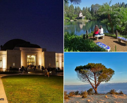 🌞 Things to Do in LA (That Actually Feel Special) cover photo collage