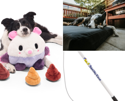 Destructive Dog Essentials: Toys, Beds & Bowls That Actually Survive cover photo collage