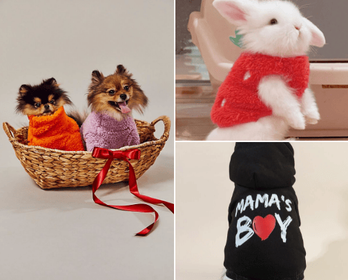 Pet Clothes 🥰 🐾 cover photo collage