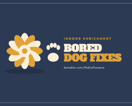 Indoor Dog Enrichment: What Actually Tires Out a Bored Dog cover photo collage