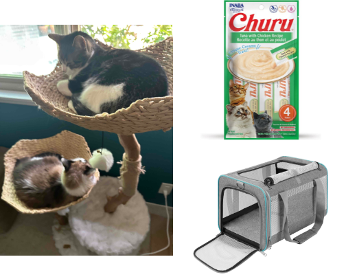 Cat Essentials My Picky Cats Love: Churu Treats, Enrichment Toys, Elevated Bowls, Easy Litter cover photo collage