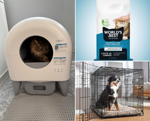 Everyday Pet Picks 🐾 cover photo collage