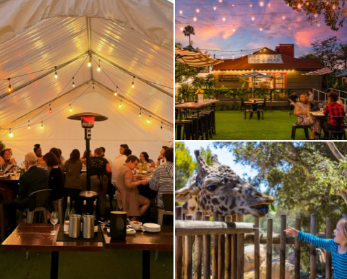 How to Entertain your Toddler in Santa Barbara cover photo collage