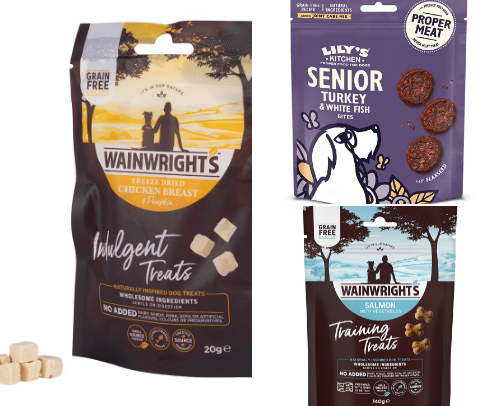 Must-Have Dog Products & Pet Essentials cover photo collage