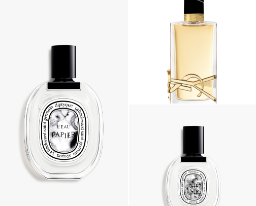 ✨2026 Head-turning Fragrances cover photo collage
