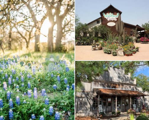 Fredericksburg, Texas cover photo collage