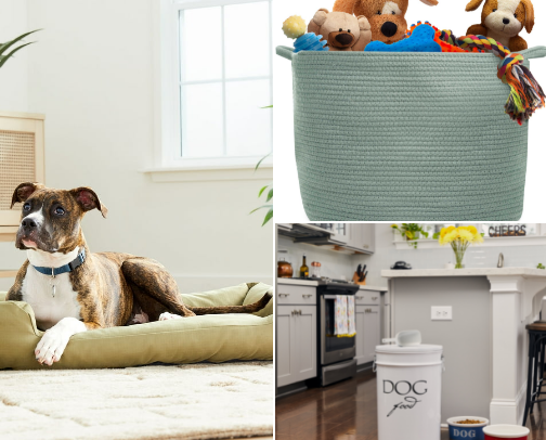 FETCH THE ESSENTIALS cover photo collage