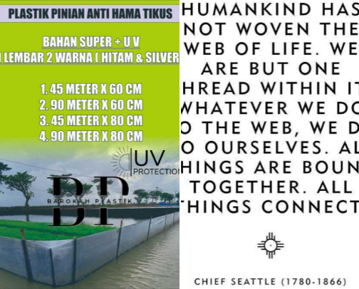 My cover photo collage