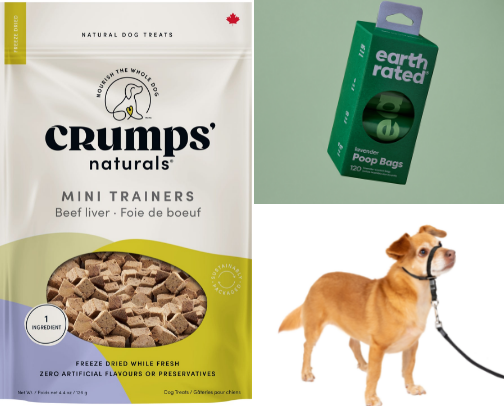 Dog Owner Essentials cover photo collage