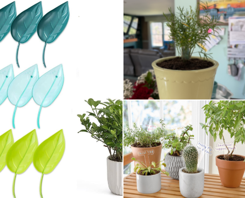 Let's Talk Plants 🪴 cover photo collage