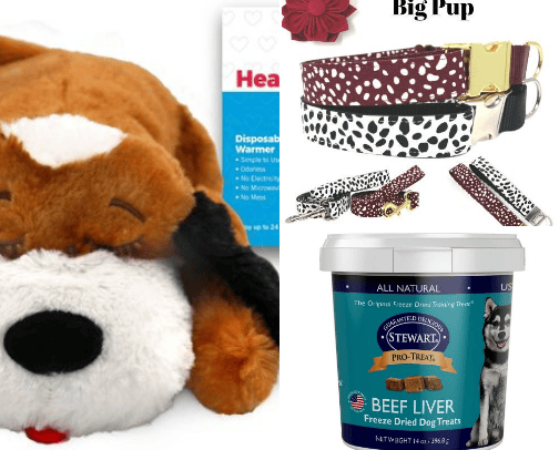 For Pet's Sake- A List of Must-Have Tail-Wagging Essentials cover photo collage