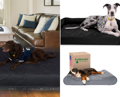 Dogs Duhh cover photo collage