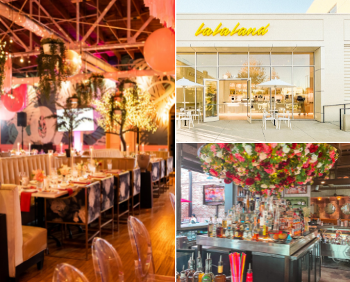 DFW’s Cutest Spots for the Girls cover photo collage